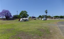 Grafton Showground Caravan Park - Accommodation Sunshine Coast
